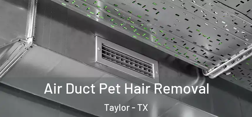  Air Duct Pet Hair Removal Taylor - TX