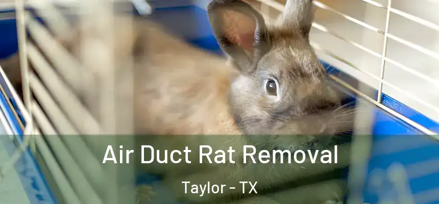  Air Duct Rat Removal Taylor - TX