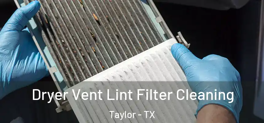  Dryer Vent Lint Filter Cleaning Taylor - TX