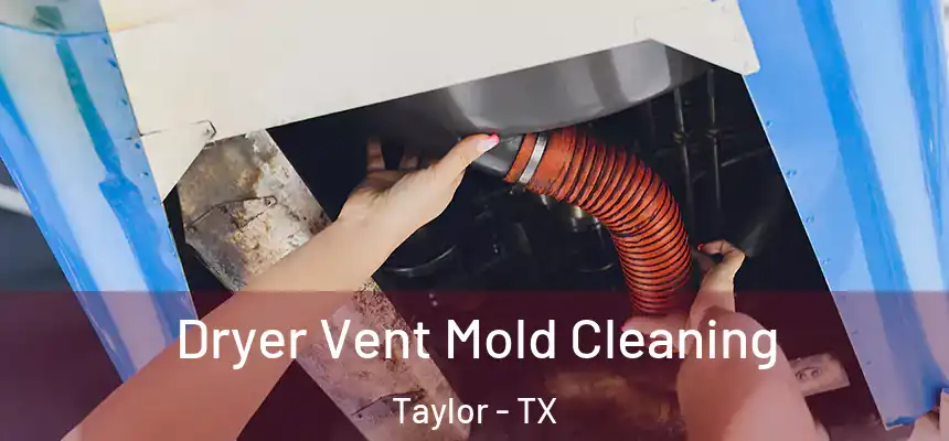  Dryer Vent Mold Cleaning Taylor - TX