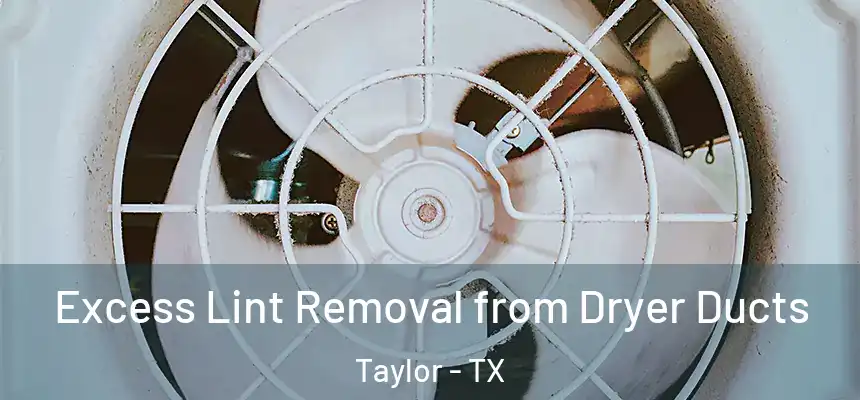  Excess Lint Removal from Dryer Ducts Taylor - TX