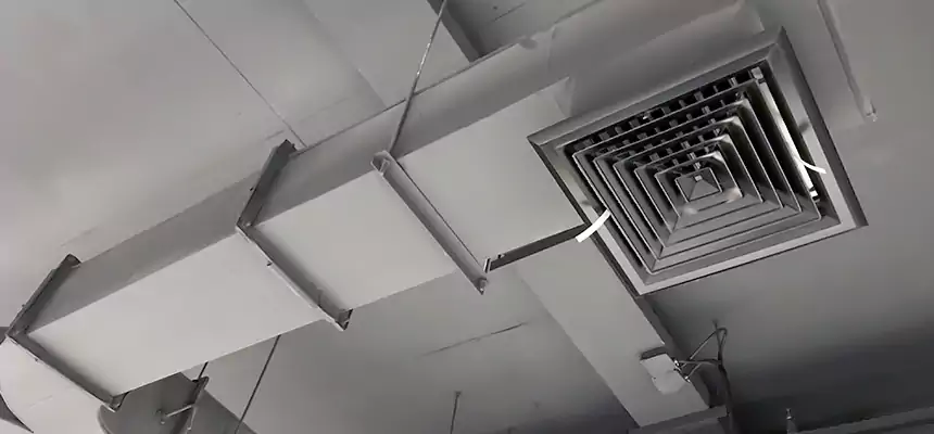 Restorative Allergy Relief Vent Cleaning – Coil, Blower & Housing Detail in Taylor