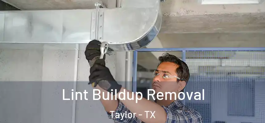  Lint Buildup Removal Taylor - TX