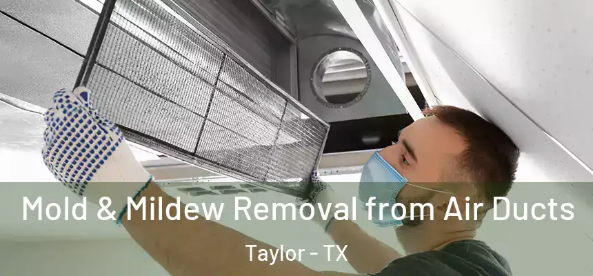 Mold & Mildew Removal from Air Ducts Taylor - TX