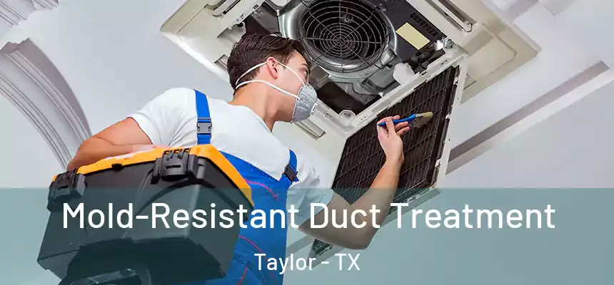  Mold-Resistant Duct Treatment Taylor - TX