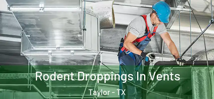 Rodent Droppings In Vents Taylor - TX