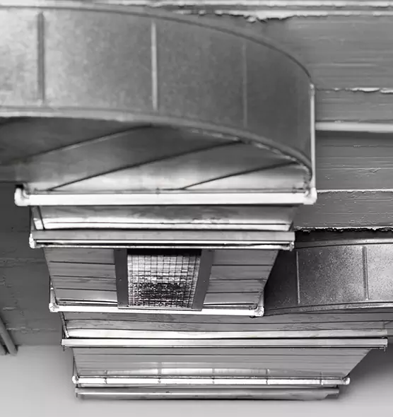 Professional Air Duct Pet Hair Removal in Taylor, TX