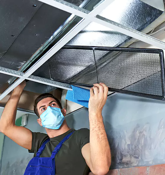 Professional Air Duct Pollen Cleaning in Taylor, TX
