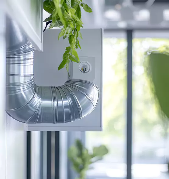 Professional Eco-Friendly Duct Cleaning Services in Taylor, TX