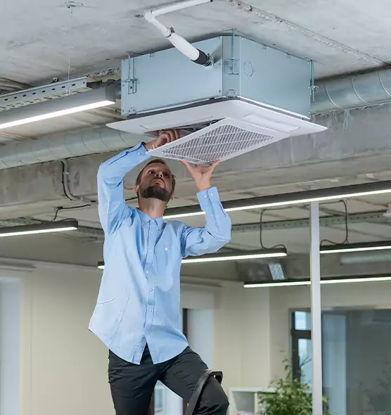 Advanced Rodent Droppings In Vents in Taylor, TX