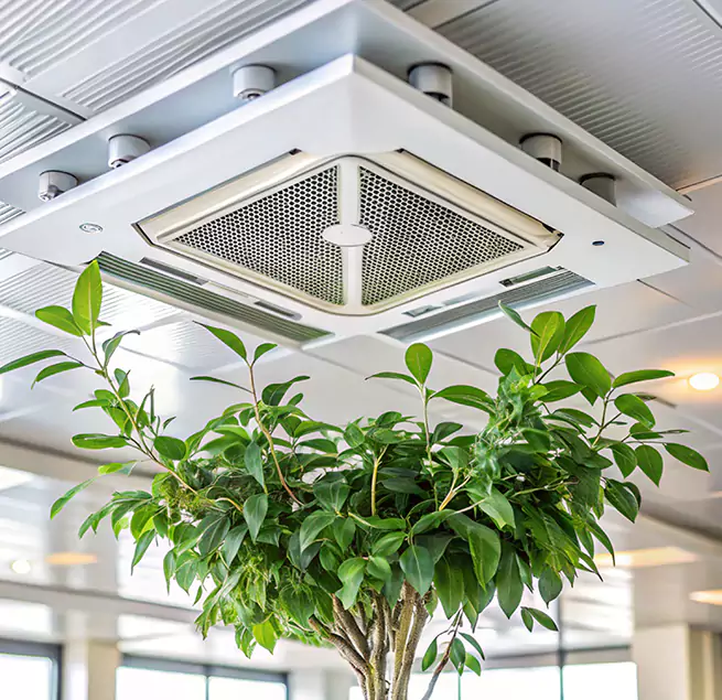 Why Homeowners & Businesses Trust Us in Taylor, TX?