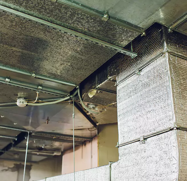 Why Homeowners & Businesses Trust Us in Taylor, TX?